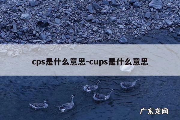 cps是什么意思-cups是什么意思