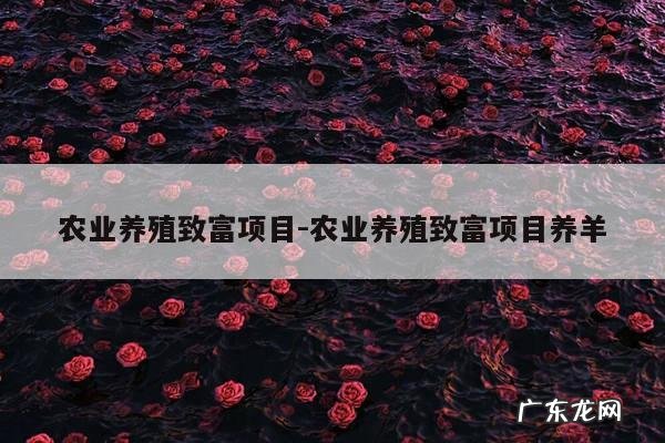 农业养殖致富项目-农业养殖致富项目养羊