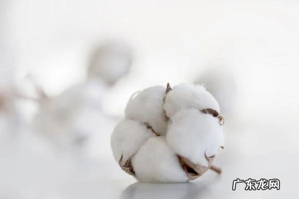 一次性洗脸巾可以用几次 洗脸巾正确使用方法