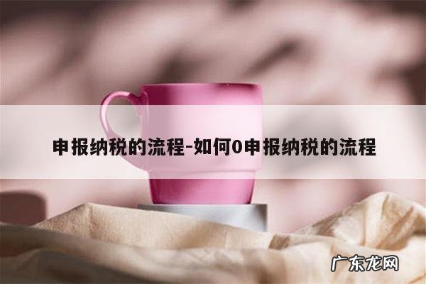 申报纳税的流程-如何0申报纳税的流程