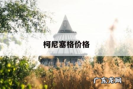 柯尼塞格价格,柯尼塞格价格 1亿