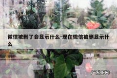 微信被删了会显示什么-现在微信被删显示什么