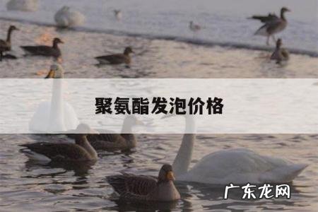 聚氨酯发泡价格，聚氨酯发泡价格一吨