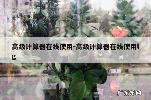 高级计算器在线使用-高级计算器在线使用lg