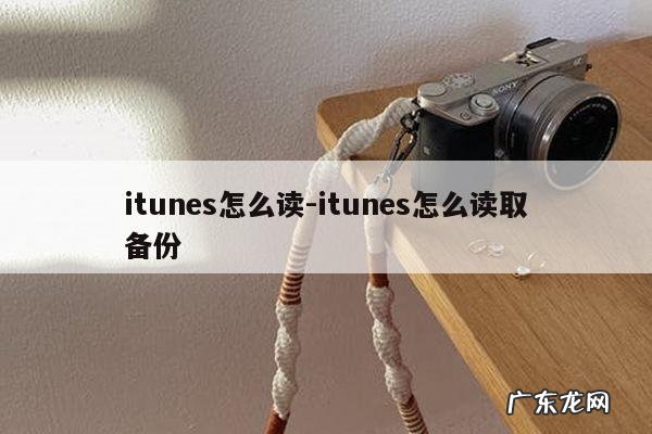 itunes怎么读-itunes怎么读取备份