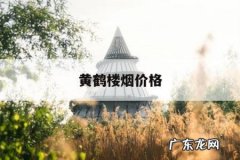 黄鹤楼烟价格，黄鹤楼香烟价格多少钱一包