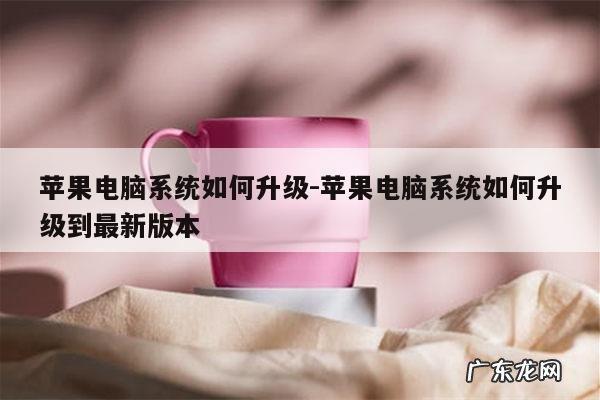 苹果电脑系统如何升级-苹果电脑系统如何升级到最新版本
