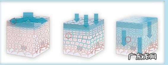 水密码补水怎么样 补水和保湿是一个意思吗