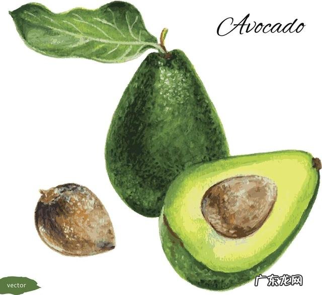 补水面膜哪款效果好 补水面霜可以代替面膜吗?