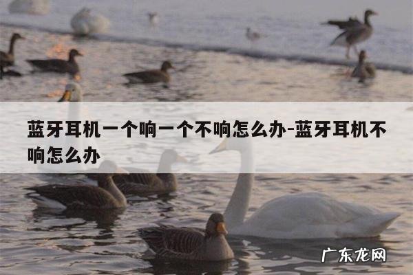 蓝牙耳机一个响一个不响怎么办-蓝牙耳机不响怎么办