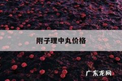 附子理中丸价格，附子理中丸价格表