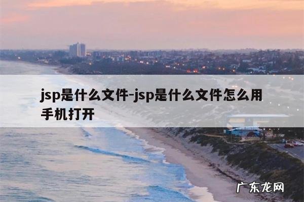 jsp是什么文件-jsp是什么文件怎么用手机打开