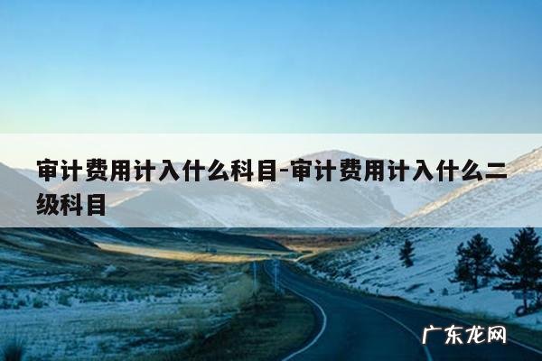 审计费用计入什么科目-审计费用计入什么二级科目