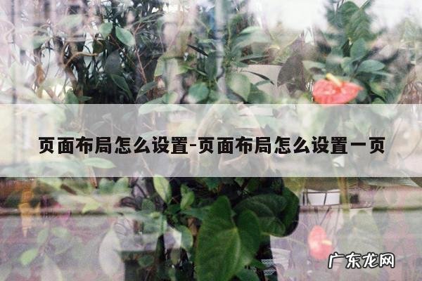 页面布局怎么设置-页面布局怎么设置一页