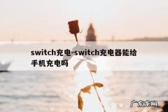 switch充电-switch充电器能给手机充电吗