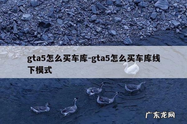 gta5怎么买车库-gta5怎么买车库线下模式