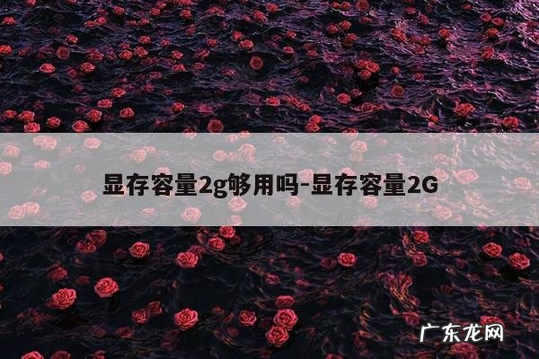 显存容量2g够用吗-显存容量2G