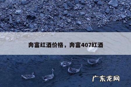 奔富红酒价格,奔富407红酒