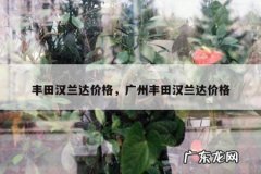 丰田汉兰达价格，广州丰田汉兰达价格