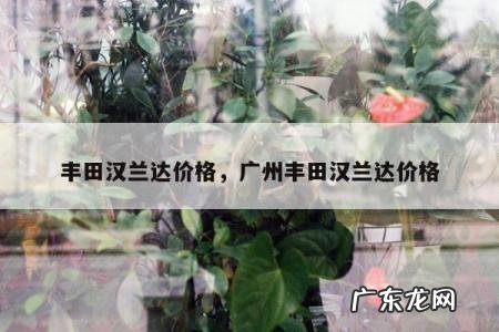 丰田汉兰达价格,广州丰田汉兰达价格