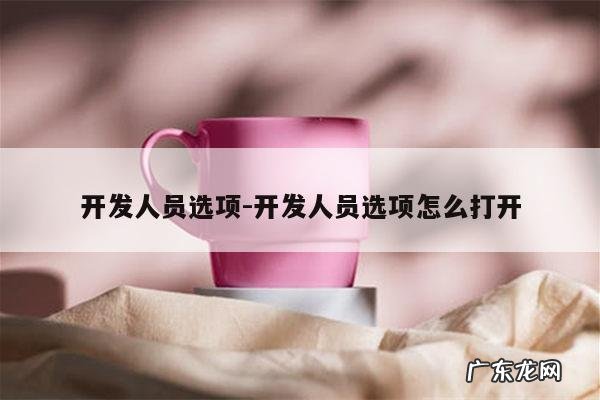 开发人员选项-开发人员选项怎么打开