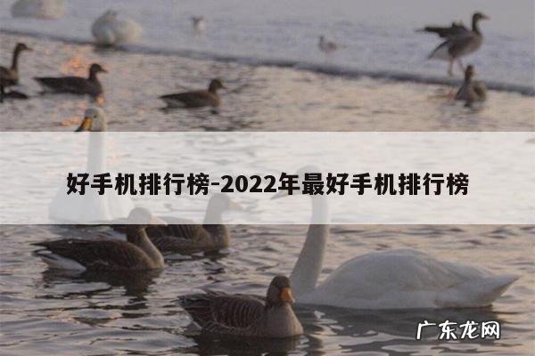 好手机排行榜-2022年最好手机排行榜