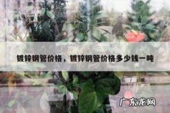 镀锌钢管价格，镀锌钢管价格多少钱一吨