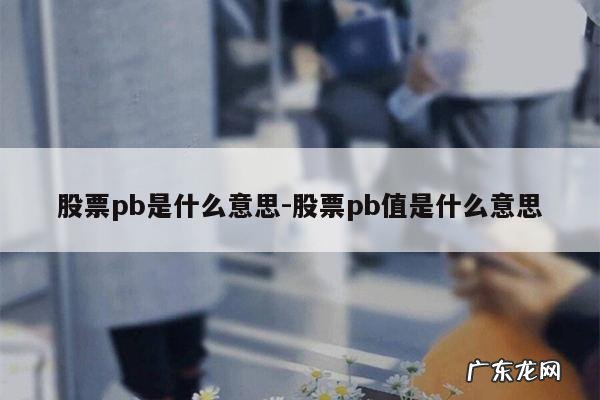 股票pb是什么意思-股票pb值是什么意思