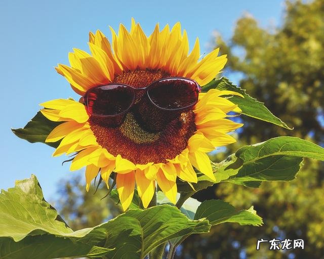 儿童防晒霜排行榜10强 儿童防晒霜哪个牌子好安全