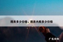 隆鼻多少价格，隆鼻大概多少价格