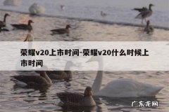 荣耀v20上市时间-荣耀v20什么时候上市时间