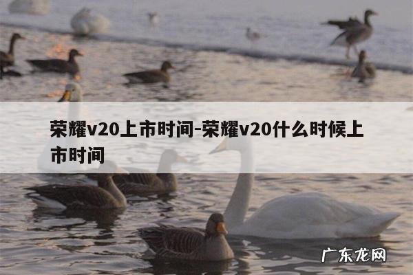 荣耀v20上市时间-荣耀v20什么时候上市时间