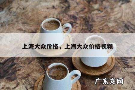 上海大众价格,上海大众价格视频