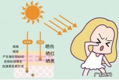 安耐晒，兰蔻，黛珂哪个牌子的防晒霜效果最好