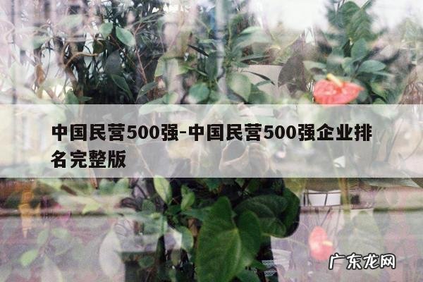 中国民营500强-中国民营500强企业排名完整版