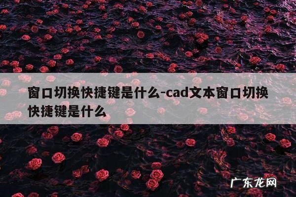窗口切换快捷键是什么-cad文本窗口切换快捷键是什么