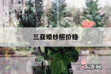 三亚婚纱照价格,三亚拍婚纱照多少钱