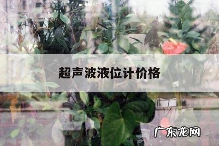 超声波液位计价格,分体式超声波液位计