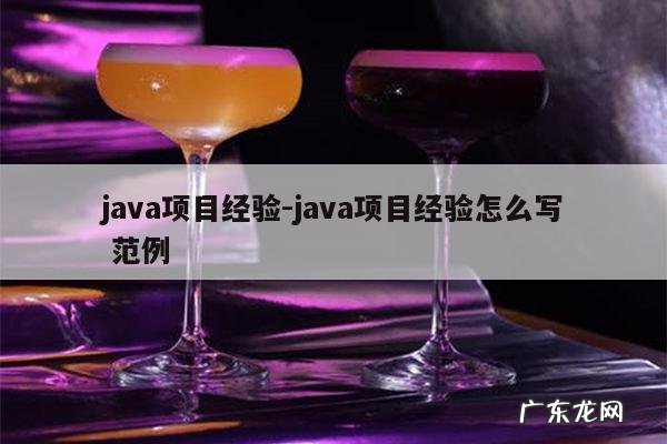 java项目经验-java项目经验怎么写 范例