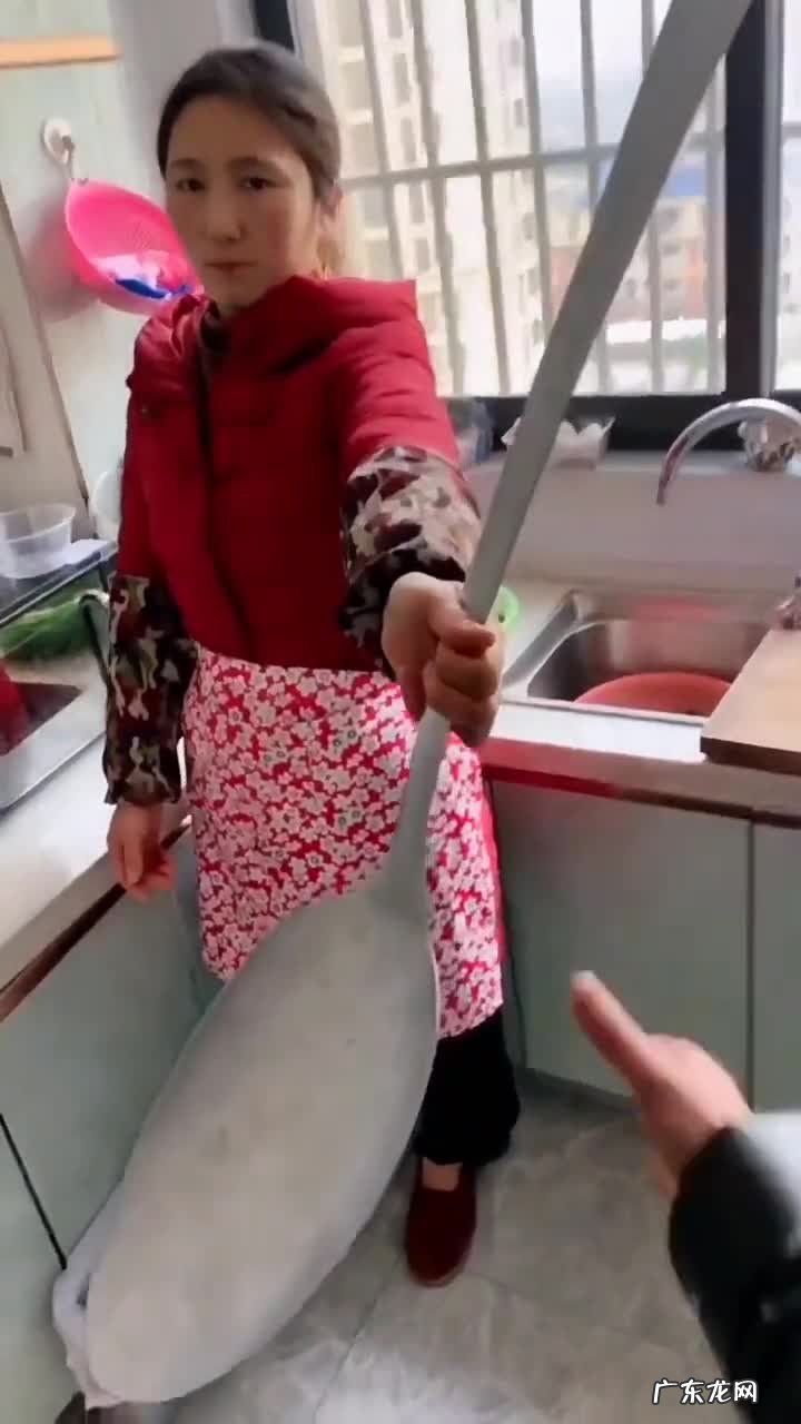 “反向带货”圈粉千万,怕涨粉两个月不开播,疯狂小杨哥是何来路