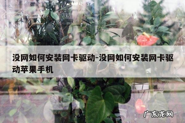 没网如何安装网卡驱动-没网如何安装网卡驱动苹果手机