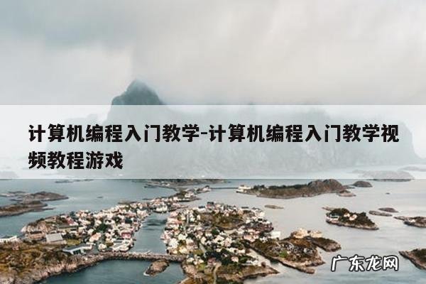 计算机编程入门教学-计算机编程入门教学视频教程游戏