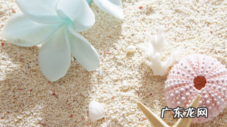 短视频剪辑技巧,如何剪辑?