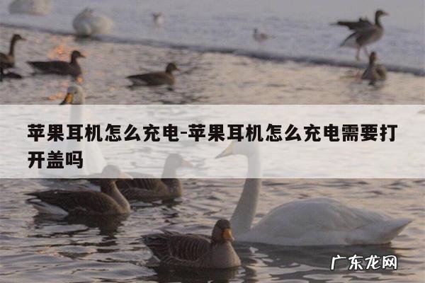 苹果耳机怎么充电-苹果耳机怎么充电需要打开盖吗