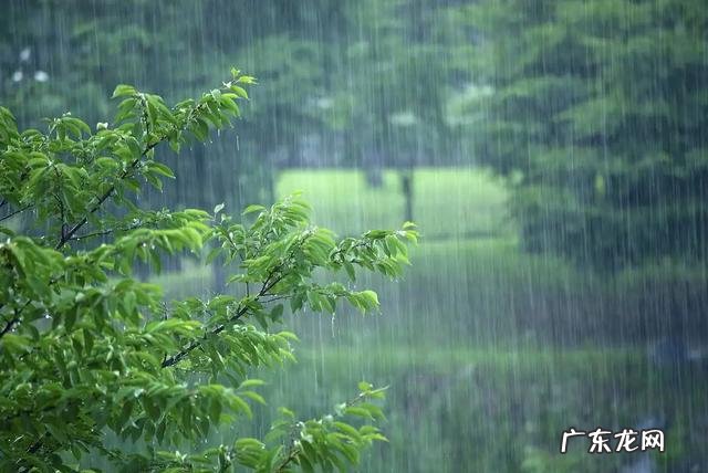 湿气重吃什么食物才好 夏天湿气重吃什么食物比较好