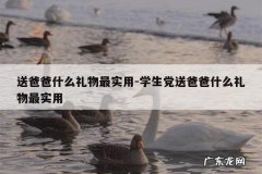 送爸爸什么礼物最实用-学生党送爸爸什么礼物最实用