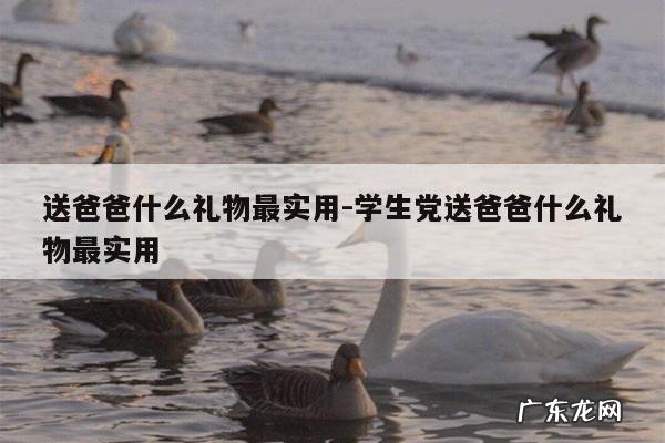 送爸爸什么礼物最实用-学生党送爸爸什么礼物最实用