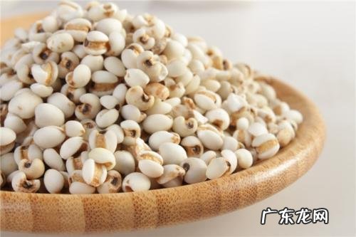 湿气重吃三种食物 湿气越来越重多吃4种食物