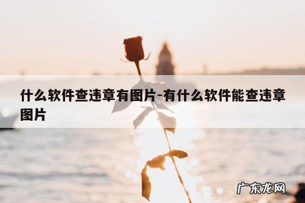 什么软件查违章有图片-有什么软件能查违章图片