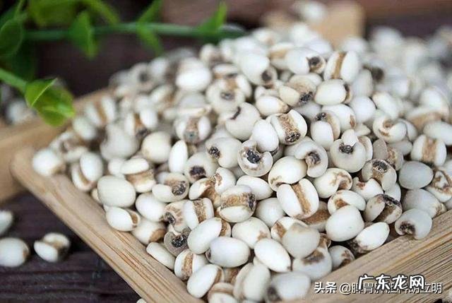 祛湿3种水果 最有效的祛除湿气的食物